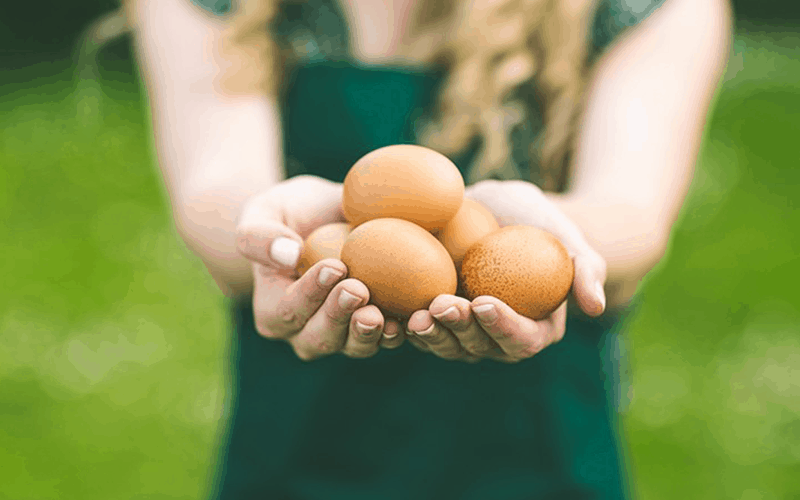 Cu ce putem înlocui oul din preparatele culinare.
